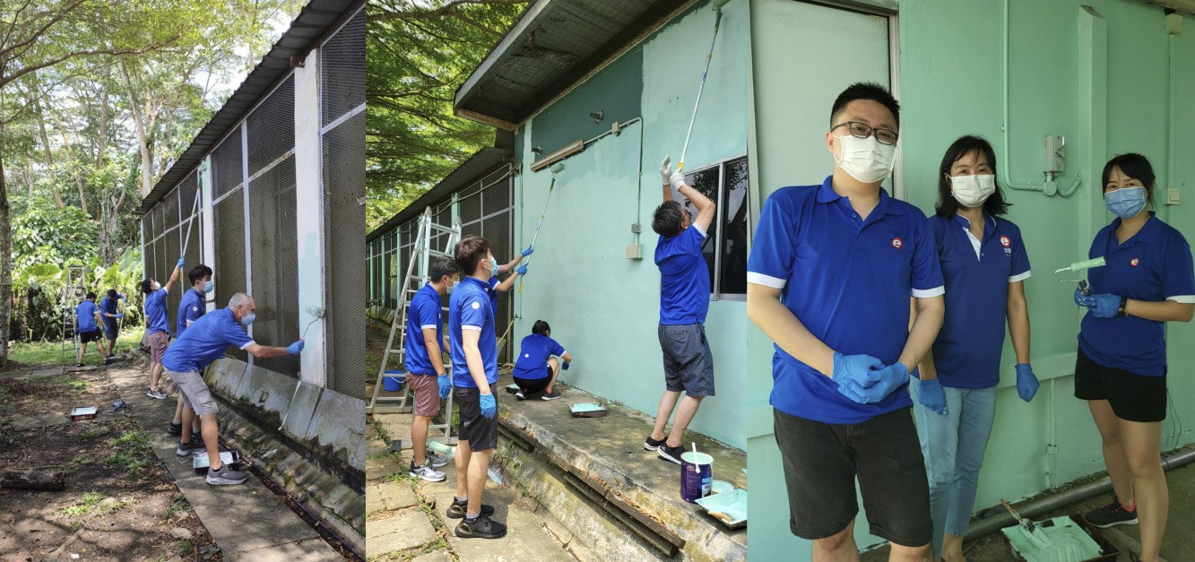 Painting the wildlife house