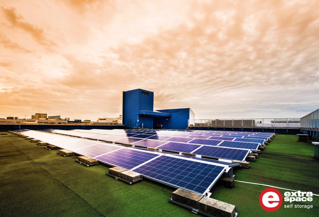 Going Green towards a Sustainable Future