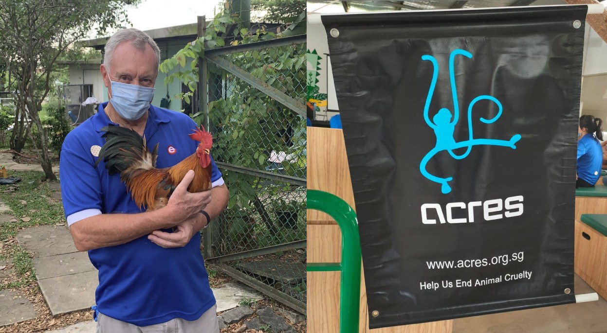 Kenneth with Diggle the Rooster