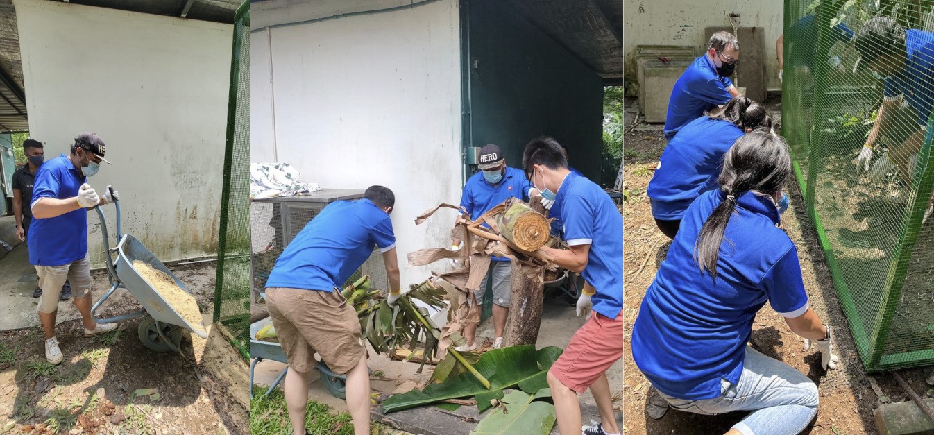 setting up a new enclosure for the wildlife