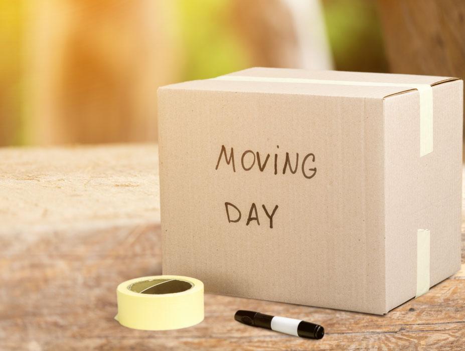 5 must-have packing items for moving day.