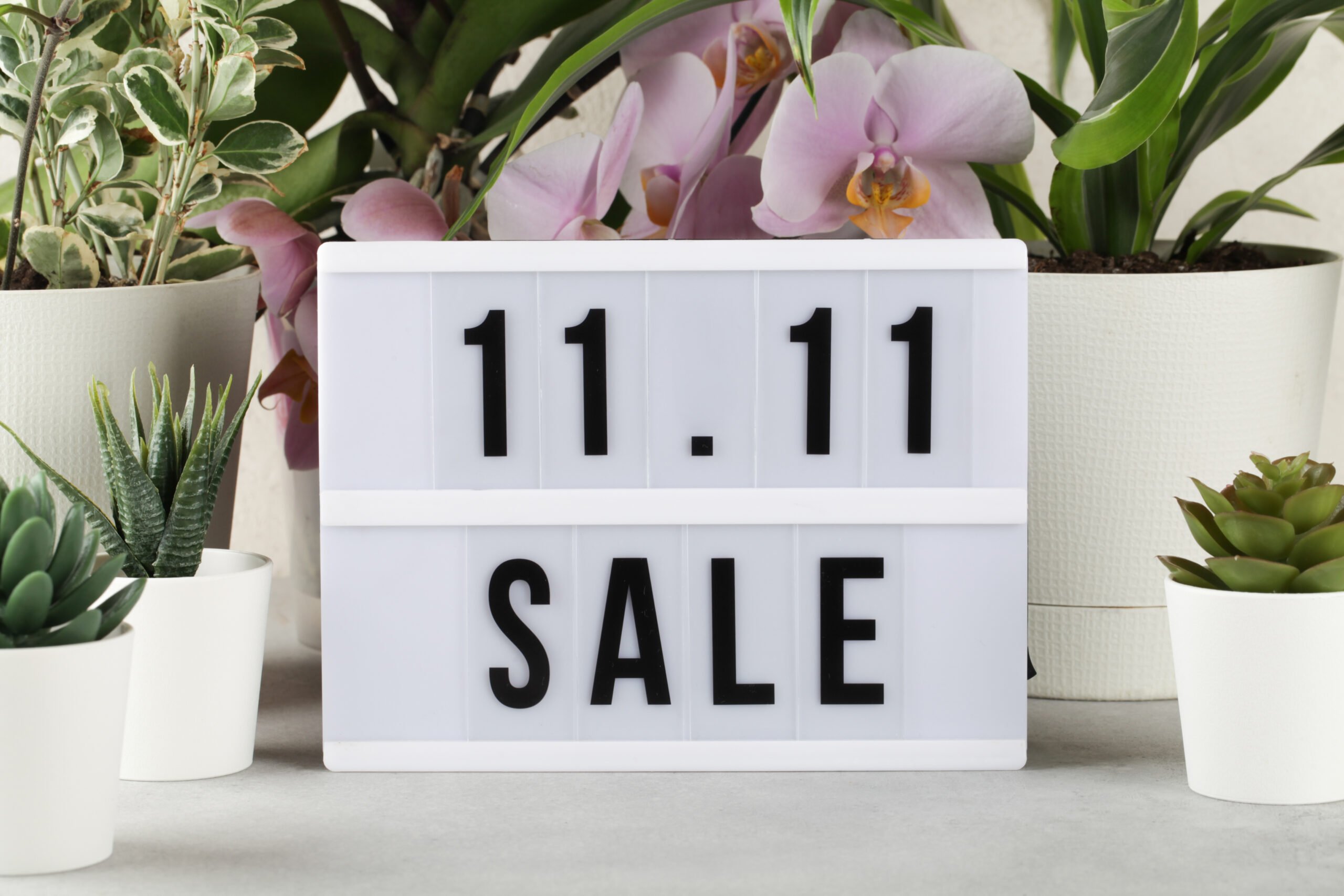 Business Tips 101: Preparing for 11.11, Single’s Day Sale